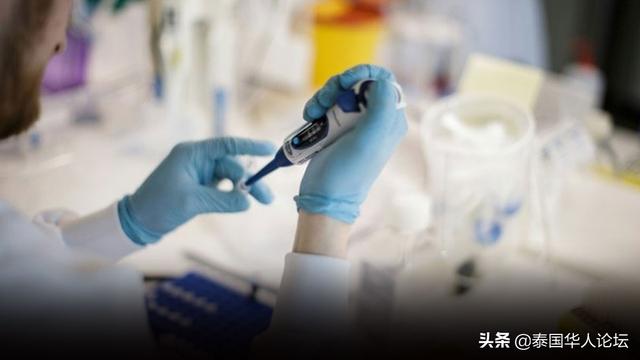 新加坡国立大学研究显示：泰国将于6月11日结束当前疫情