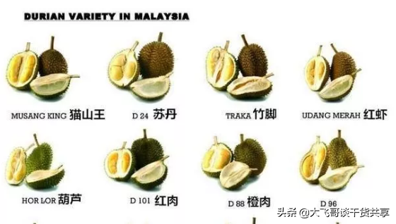 超市里的泰国榴莲和马来西亚榴莲有什么区别？看完才知道自己OUT