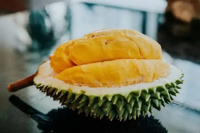 吃榴莲还得是马来西亚产！30年老树长出，自然熟落、软绵糯香