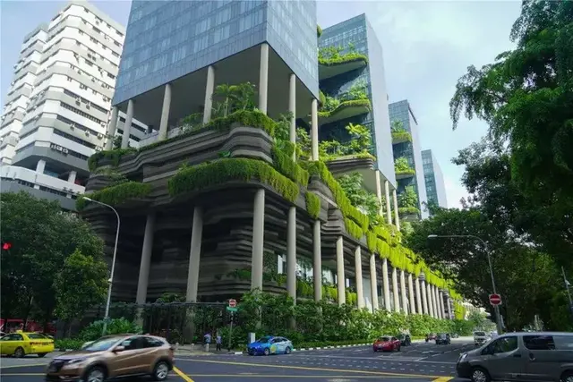 新加坡造“阿凡达”奇幻森林，一棵树高达50米，树里暗藏高科技