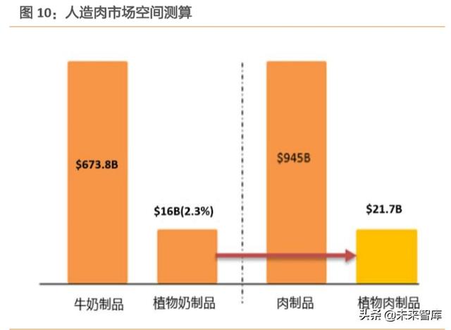 人造肉行业深度报告：蛋白新能源，探索人造肉行业革命之路