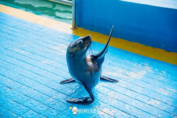 泉州海边这艘“船”里面藏着海洋世界，以大海为背景，充满童趣