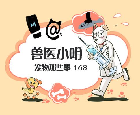 狗有大、中、小型之分，那么猫怎么分类呢？大致有两种方法