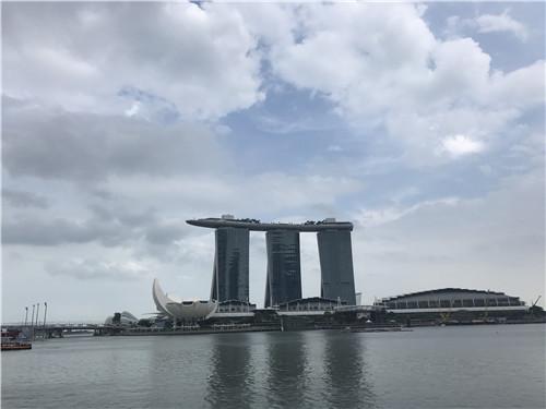 不同阶段学生如何办理新加坡留学申请？