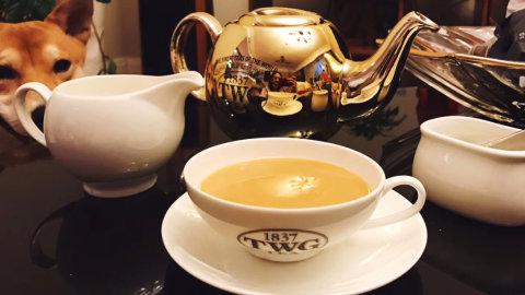 如何在家喝到一杯正宗新加坡TWG下午茶
