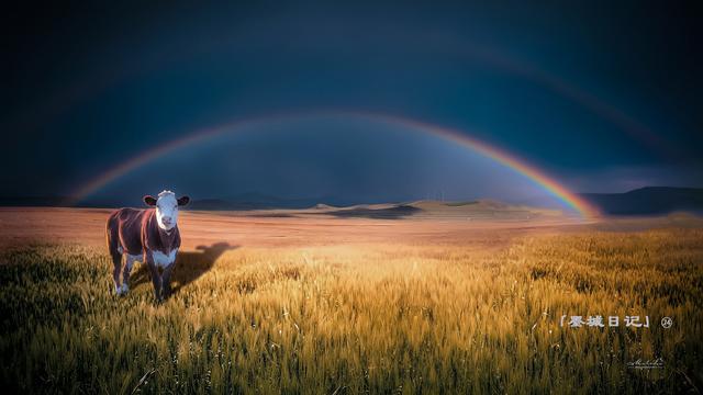 墨城日记㉔ | 疫情生活的颜色表达