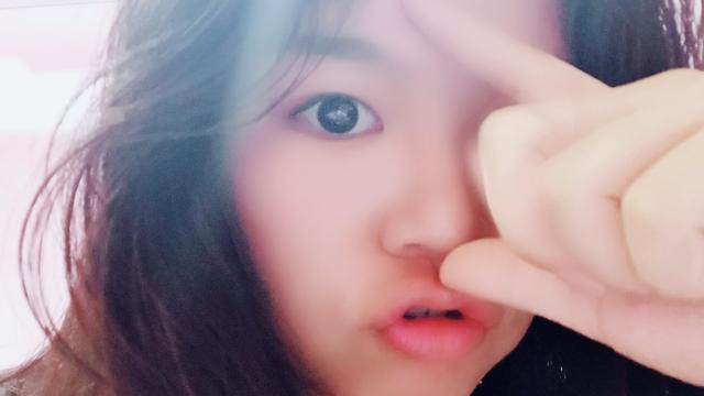 新加坡夜间动物园+幻光雨林