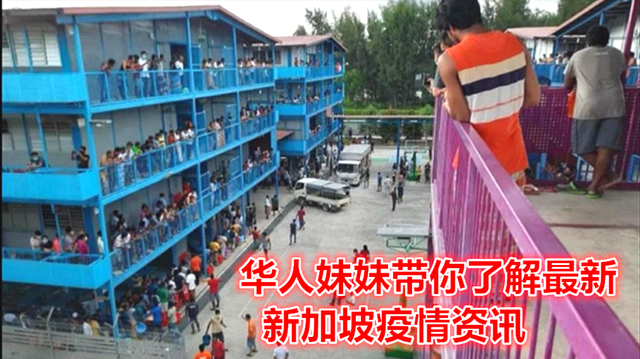 华人妹妹带来最新的新加坡资讯，一起看看吧，最后有彩蛋哦！！