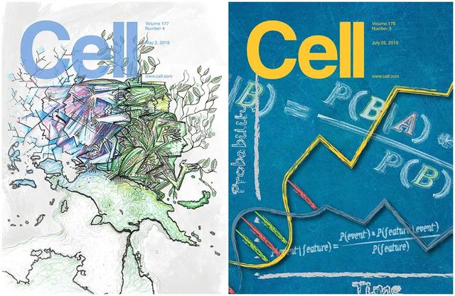 科研期刊 | 盘点25张Cell正刊封面，哪张最能打动你？