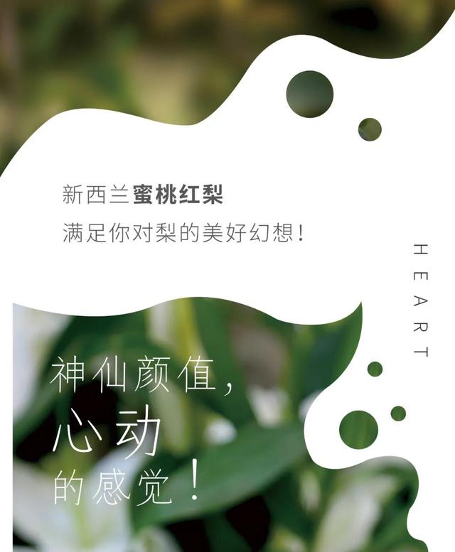 新西兰皮卡丘登陆都乐，Piqa Boo蜜桃红梨甜脆多汁