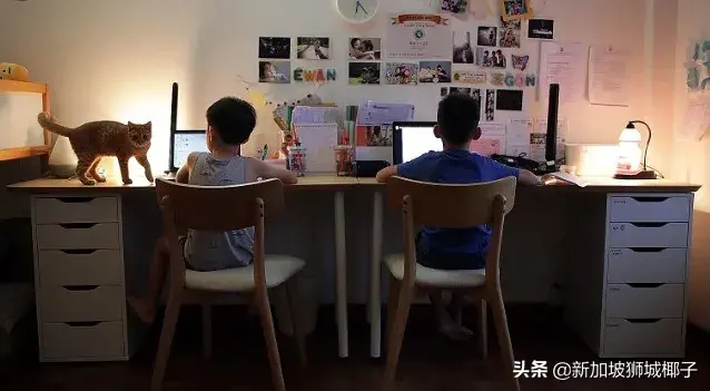 热议！因为网课，新加坡家长和老师都吵起来了！