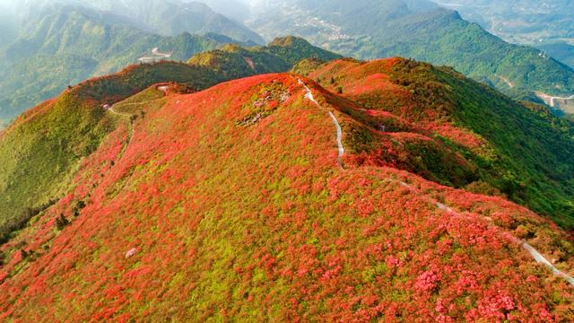 2020年的第一场旅行，我想去丹寨，寻找生活本来的美好