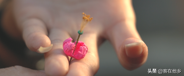 丰顺埔寨纸花：似花而非花，巧手夺造化