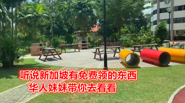 第6期下：华人妹妹领取了新加坡免费的口罩，让我们一起看看吧