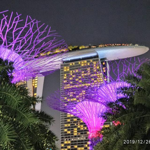 美丽的花园城市新加坡，一定要选冬天的阴天或是晚上再去。即使北京寒冷元旦的中午，那里也是骄阳暴晒，家里老人受不了，每天中午都是回房间午休等凉快了才出来。