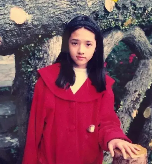 港圈太子妃情史