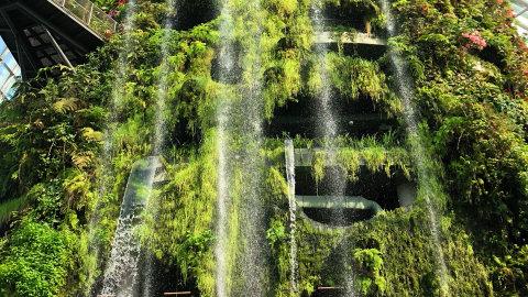 新加坡旅游攻略之（滨海湾花园）