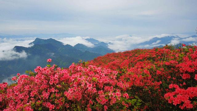 2020年的第一场旅行，我想去丹寨，寻找生活本来的美好
