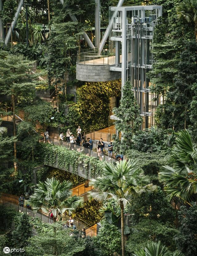 森林、瀑布、花园、餐厅、商店、书屋等都在这里—新加坡樟宜机场