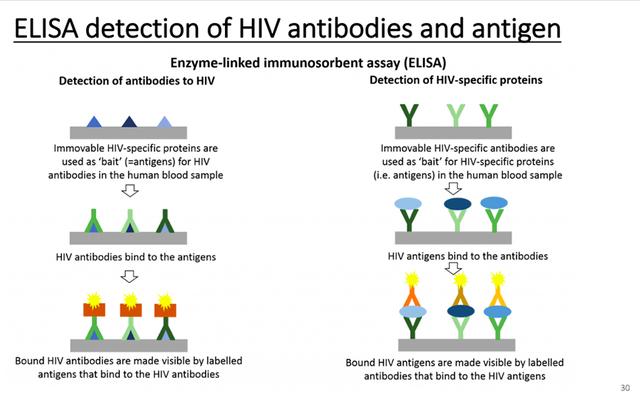 金冬雁：前6种人类冠状病毒和HIV研究带来的抗击新冠思路