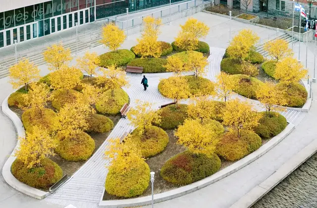 各种各样的种植池设计，让场地的景观气质倍增