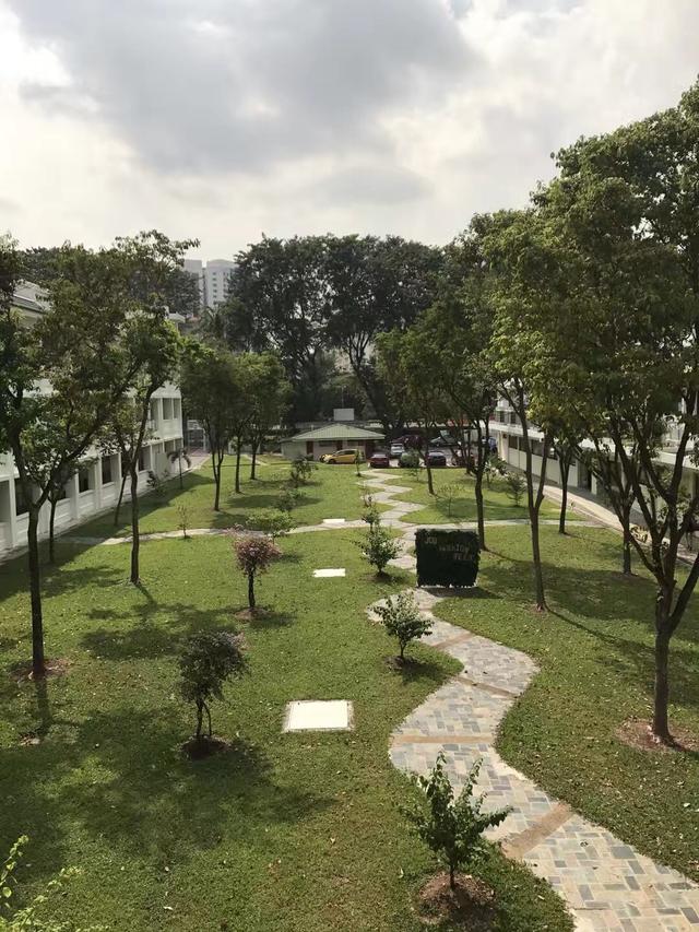 新加坡政府出手协助毕业生群体：保就业、缓学贷、发津贴