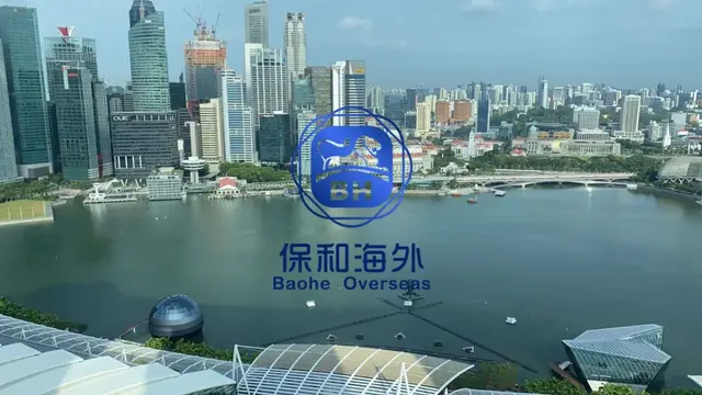 新加坡哪些政府部门影响企业家/投资人获批绿卡？