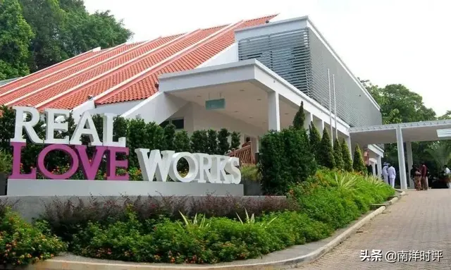 新加坡有意立法 让新人通过网络宣誓结婚