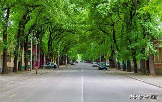 世界各地50条街道的四季景色摄影，每一幅都置身在彩色的天堂里