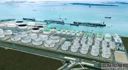 新加坡油王爆仓！中石化或接盘最大独立油库码头