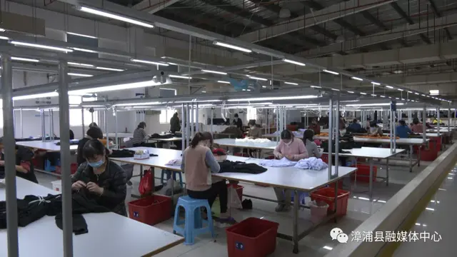 “衣蔬”无忧！漳浦这两家企业按下“快速键”后