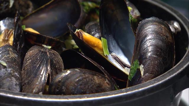 新加坡综艺《我的导游是明星8》比利时003：淡菜大餐