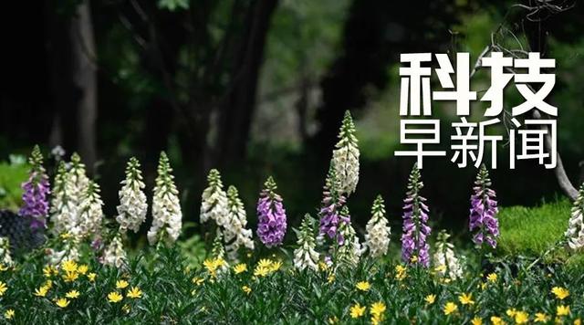 武汉在院新冠患者清零；动物防疫法修订草案首次提请最高立法机关审议丨科技早新闻