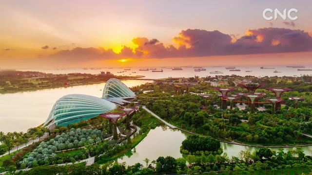 瞰世界｜爱上新加坡