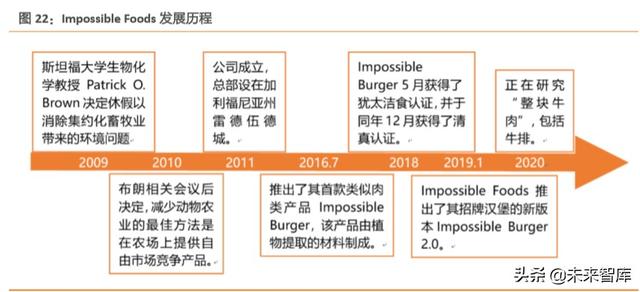 人造肉行业深度报告：蛋白新能源，探索人造肉行业革命之路