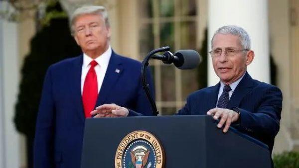 美国确诊快突破百万了，死了这么多人，为什么情况还没有好转？