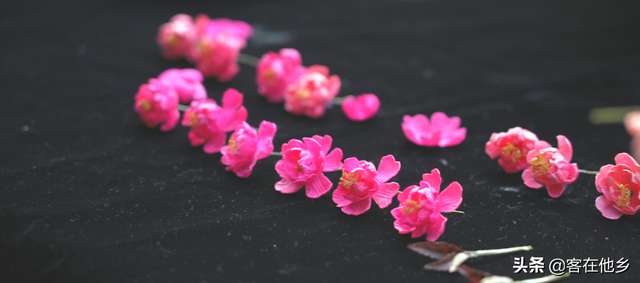 丰顺埔寨纸花：似花而非花，巧手夺造化