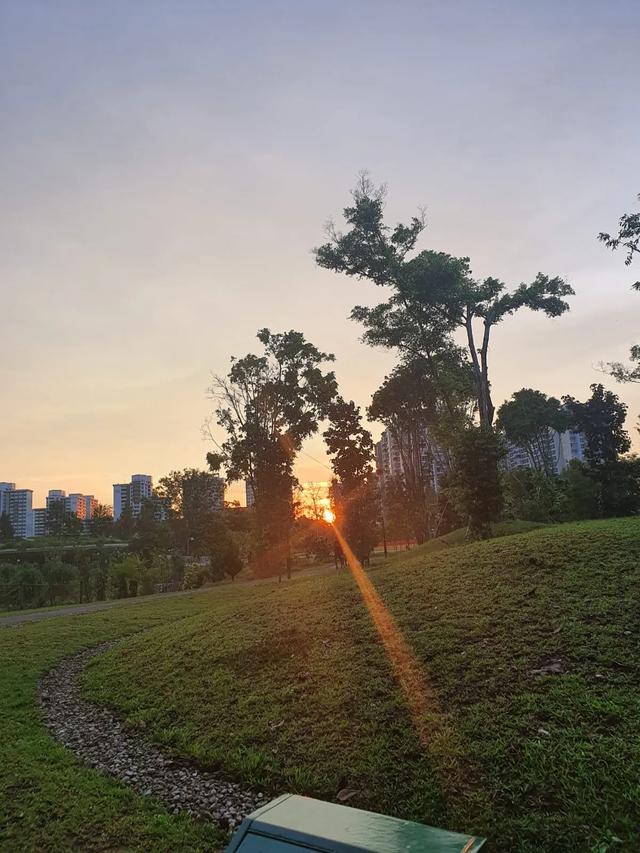 佛系的新加坡今日暴增447例，雨后见彩虹。