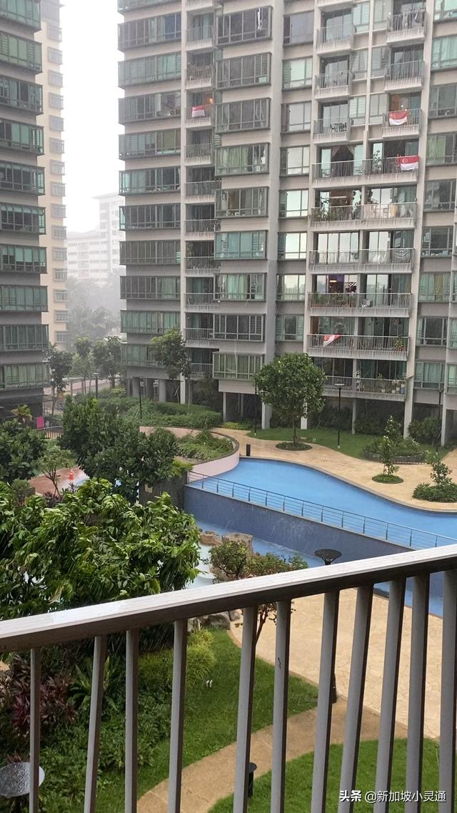 狂风暴雨#新加坡#