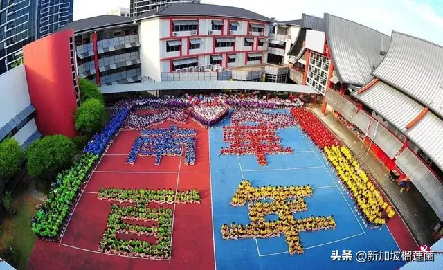 疫情期间，国际生也能申请新加坡小学！请看详细攻略！
