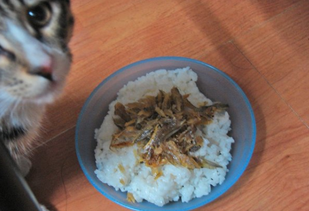 日本牛丼的前世今生