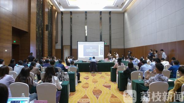 构建“现代国际大都市”，苏州为何强调“沪苏协同增强效应”
