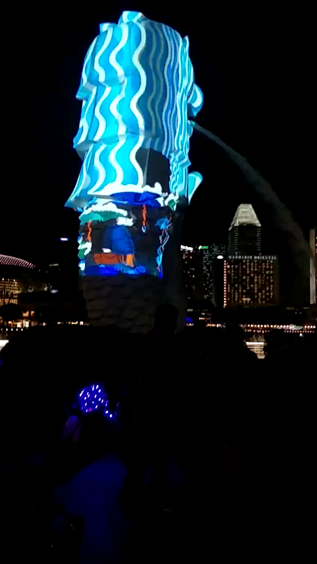 新加坡鱼尾狮公园的夜景