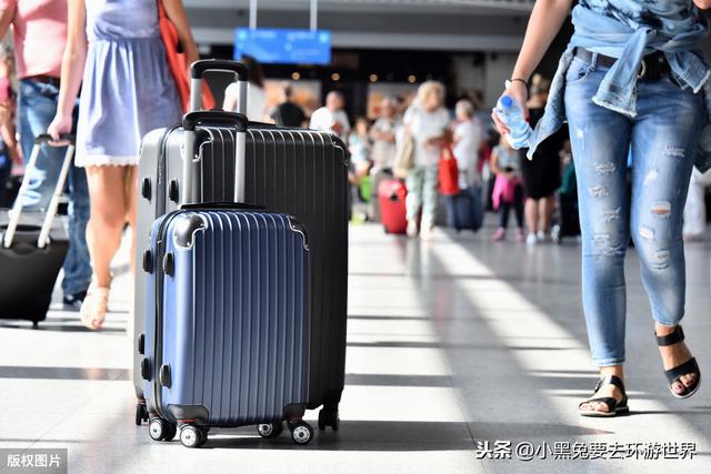 带心爱的宠物出入境并不难，这篇攻略来帮你，符合新规可免隔离期