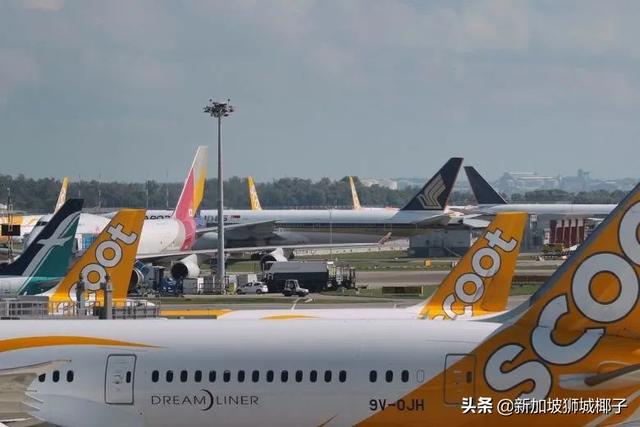 坐新航和胜安航班必须戴口罩！6月新加坡飞中国机票，1277新币起