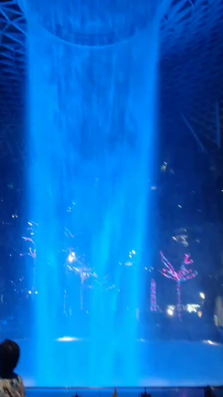 东北人在新加坡