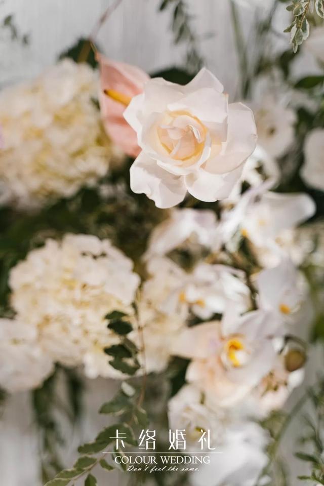 粉色的极光之旅，白粉系的玫瑰婚礼，精心打造的美好幻境