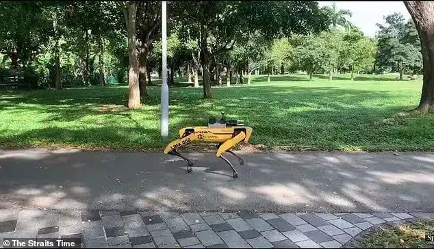 新加坡派机器狗检测民众社交距离，画风却有点瘆人！网友：头呢？