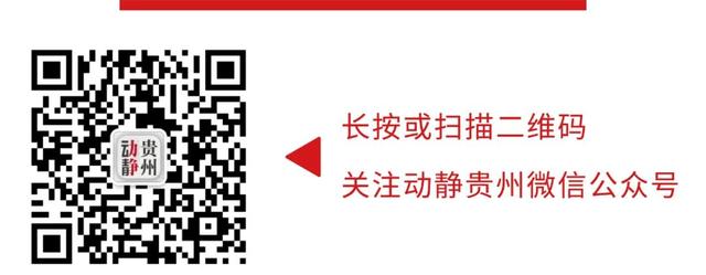 贵州文化老人 | 野芳发而幽香 佳木秀而繁阴——“书如其人”何龙昌