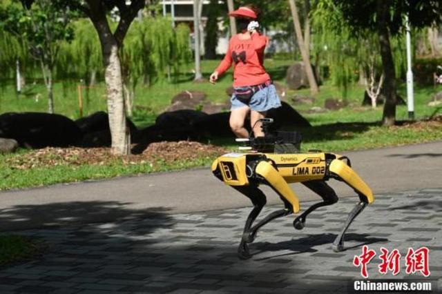 不注意社交距离会被狗盯上，机器狗